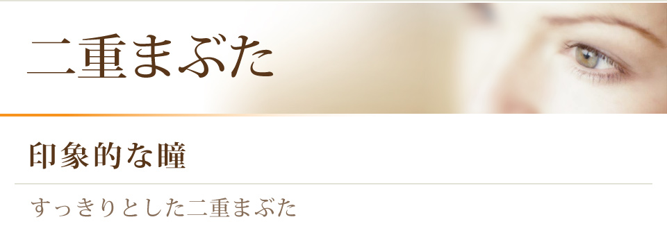 二重まぶた 印象的な瞳 すっきりとした二重まぶた