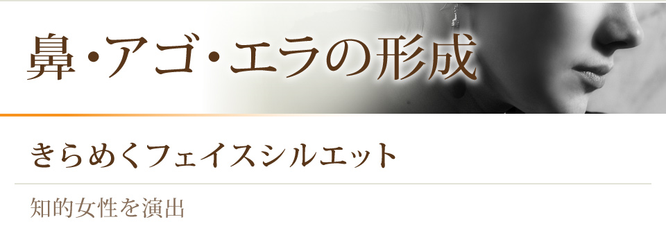 鼻・アゴ・エラの形成 きらめくフェイスシルエット。知的女性を演出